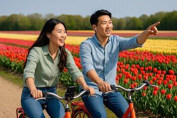 Amsterdam Tour to flower fields plus 3 hour bike tour