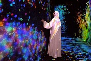 TeamLab Phenomena Abu Dhabi Experience with Optional Transfers