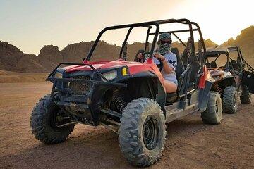 Hurghada Super Safari ATV Quad Buggy Jeep Camel BBQ and Show
