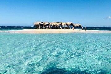 Paradise Island Cayo Arena Tour Snorkeling, Mangroves, Local Food