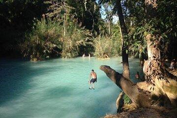 Luang Prabang to Pak Ou caves and Kuang Si falls Full-day