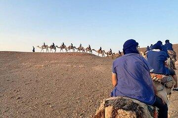 1h Quad + 1h Camel Ride + Dinner Show (Transport Included)