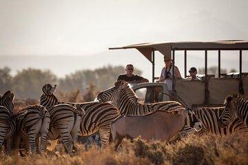 Cape Town inverdoorn Safari overnight