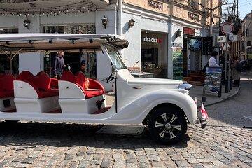 Tbilisi Electric Bus Tour Sightseeing in 40 minutes