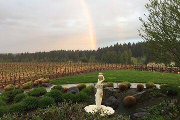 Wine Tour at Ardiri Winery Private Walking Experience