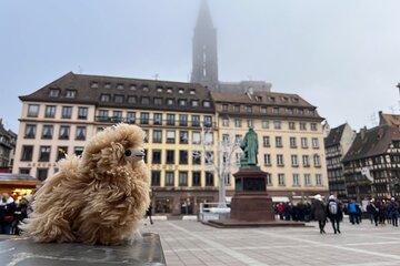 Luxembourg Day Tour from Strasbourg