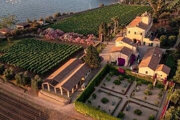 Vineyards, Napoleon and Charming Villages from Elba Cruise Port