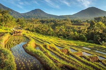 Exploring Bali in 4 Days: Drive Further to Countryside of Bali
