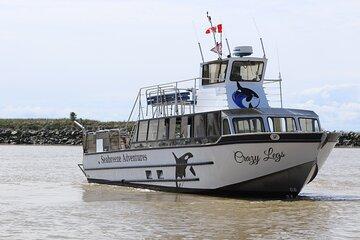 Winter Eco Tours on the Salish Sea Wildlife Adventures