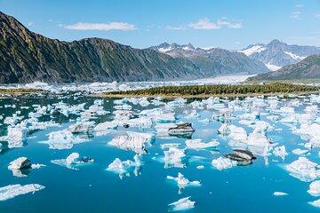 Seward Wildlife Explorer 60 minute Heli Flightseeing