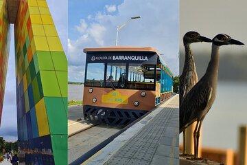 Discover Barranquilla Culture Nature and Beach