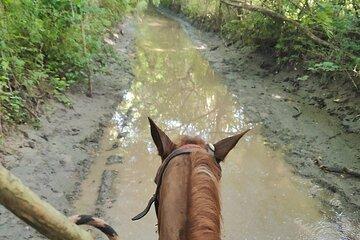 Horseback Riding Playa Larga