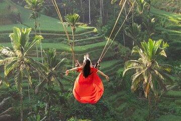 All Inclusive Swing, Zipline, Rice Terrace, Temple and Waterfall
