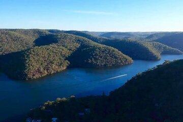 Private Koala Park Sanctuary Minivan Tour Sydney