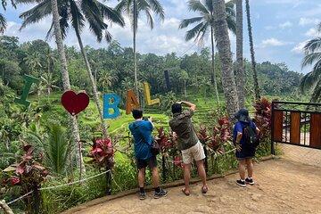 Private Driver and Tour Guide in Bali