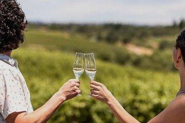 Full-Day Private Algarve Golden Coast & Wine Tasting Experience