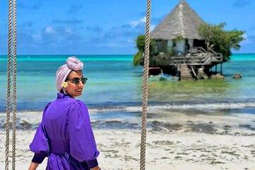 Explore Stone Town and Jozani Forest with Turtles