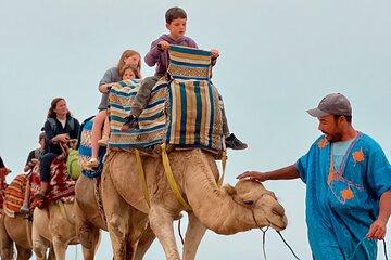Private Camel Ride in Tamri, Agadir Tour
