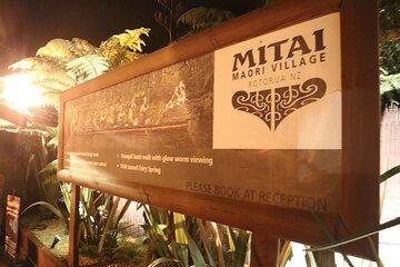 Mitai Maori Village Redwoods Treewalk with Optional Blue Spring
