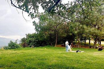 Wild Agaves Hiking Adventure in Oaxaca