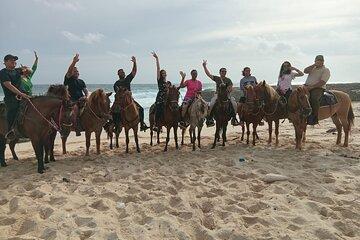 Shore Excursion Aruba’s Ecological and Beach Horseback Riding