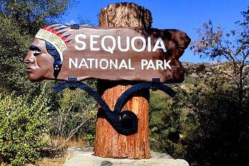 Giant Sequoia National Park Private Day Tour from Los Angeles