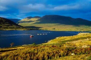 Killary Fjord Mussel Farm Tour and Tasting