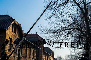 Auschwitz Birkenau and Wieliczka Salt Mine- Full Day Tour with Private Transport