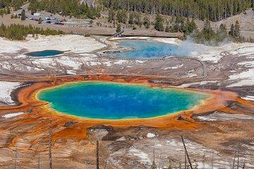 Yellowstone Lower Loop Guided Tour from Cody, Wyoming