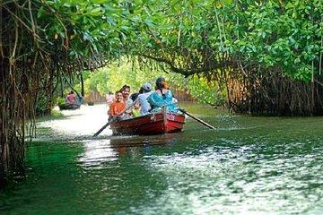 Excursion to Pichavaram Mangrove & Nataraja Temple Chidambaram from Pondicherry