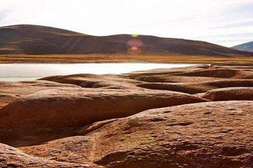 San Pedro de Atacama: Full day Altiplanic lagoons, include lunch.
