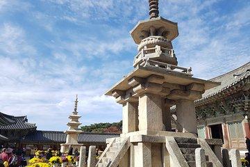 Korean Unique & Traditional Activities: Korean Bull fighting, Lost Kingdom Area