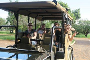 Morning Safari with Open Top vehicle in Pilanesberg leaving from Johannesburg
