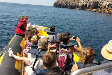 Boat Tour in Peniche