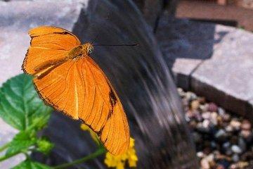 Skip the Line: General Admission to River Bend Nature Center Ticket