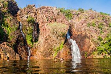 Litchfield National Park Day Tour from Darwin