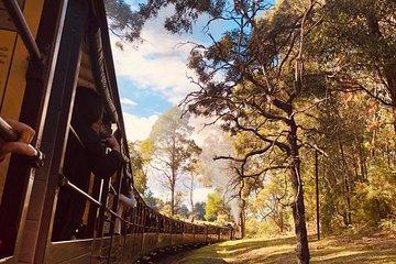 Private Yarra Valley And Puffing Billy Tour