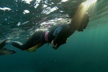 Malta Sunset Snorkeling