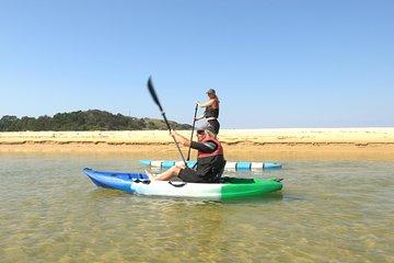 Coastal Adventure