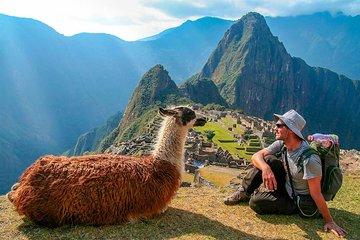 Official Machupicchu Ticket
