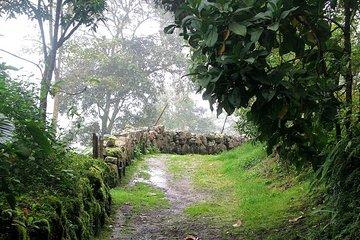 Los Tunos Nature Park Walk