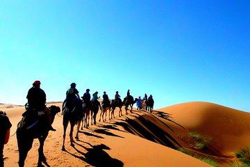 Fes to Marrakech desert tour : 3 days