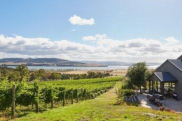 Private West Tamar Wine Tour