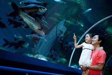 Underwater World Admission Ticket at Pattaya