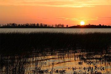 4-Days Discovering Ibera Wetland Premium Package