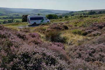 Private Tour: North Yorkshire Moor and Whitby from Leeds