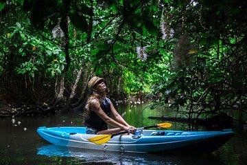 Sagaribana SUP / Canoe Tour early in the morning (limited from June to August)