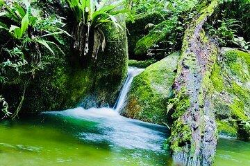 Affordable Return Mossman Gorge from Port Douglas Transfers