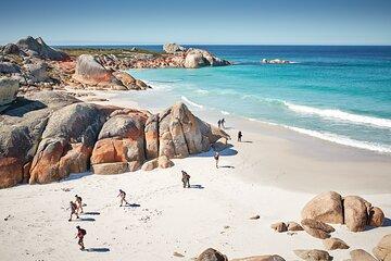 larapuna / Bay of Fires Hiking Tour - 4 Days