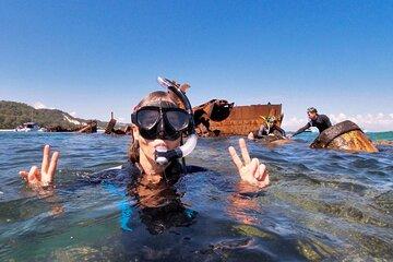 Tangalooma Wrecks Guided Snorkel from Brisbane